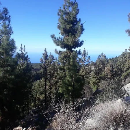 Teidemar, En El Sur De Tenerife *