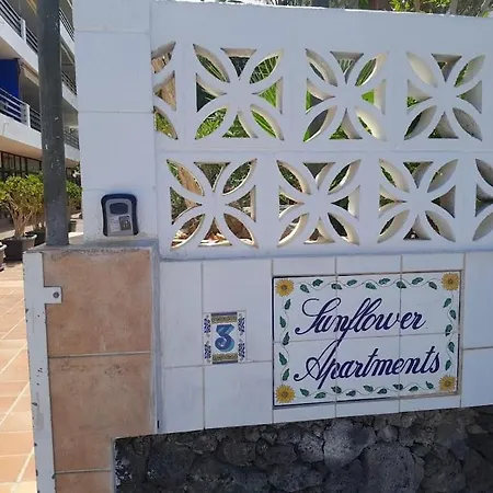 Appartement Teidemar, En El Sur De Tenerife